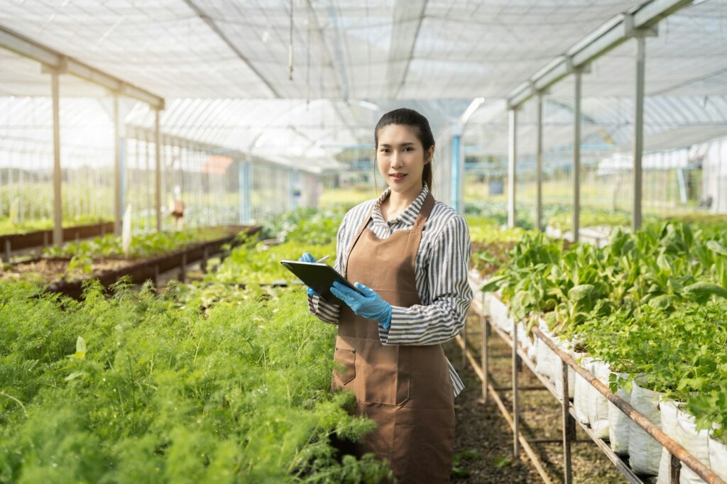 Friendly farmers at work in the greenhouse in the morning.